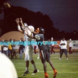 Meet your Posher, Bailey